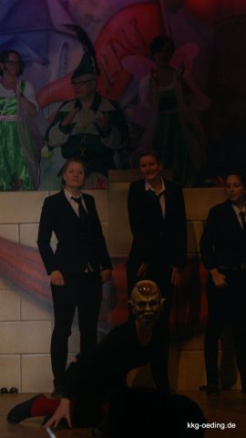 2013.01.26  Unser Kappenball 2013